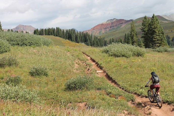 The Colorado Trail
