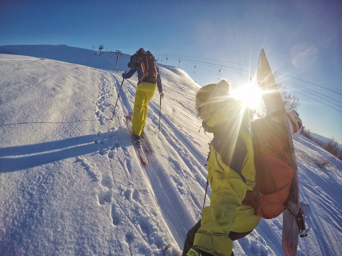 Micayla Gatto's Top 5 Winter Boredom-Relievers and Training Tools