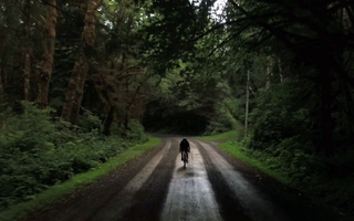 Lost In Place