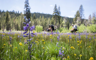 4 Tips for Self-Supported Bikepacking