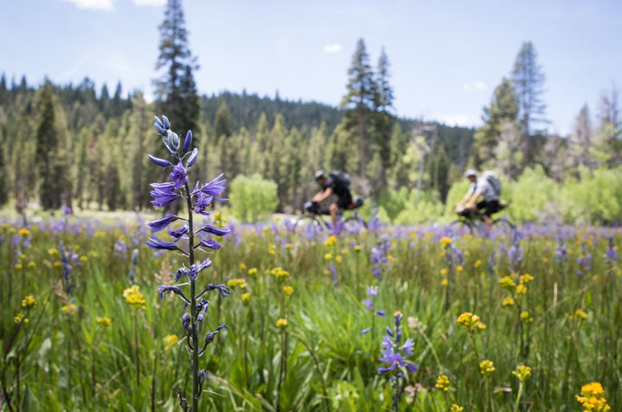 4 Tips for Self-Supported Bikepacking